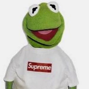 Meet your Posher, Roman